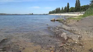 beach near the dam tableau 2015 Живая картина Кременчуга