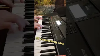 "Ой у вишневому саду". Синтезатор Casio CT X-700