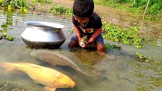 Amazing Hand Fishing /Traditional Boy Big Fishing by Hand in the pond/ছোট ছেলের হাত দিয়ে মাছ ধরা