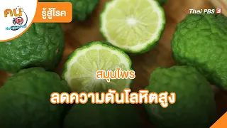 สมุนไพรลดความดันโลหิตสูง | รู้สู้โรค | คนสู้โรค