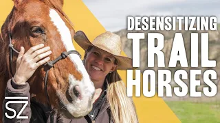 How to Desensitize Horses From Scary Objects