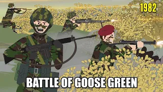 Battle of Goose Green - 2 Para against all Odds (28–29th May 1982)