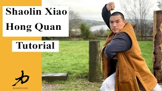 Shaolin Xiao Hong Quan Tutorial and Applications- Small Flood Fist 小洪拳