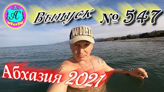 🌴Абхазия 2021❗15 апреля❗Выпуск №547💯Погода и новости от Водяного 🌡ночью +9°🌡днем +21°🐬море +12,6°🌴