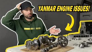 THIS ENGINE NEEDS A REBUILD! | Diesel Yanmar 3TNV82A