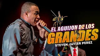 EL AGUIJON DE LOS GRANDES/ STEVEN JAVIER EL ANCIANO