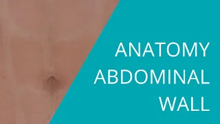 Anatomy of the Abdominal Wall