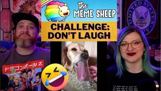 Challenge: don't laugh 😂 @TheMemeSheep1 | HatGuy & Nikki react