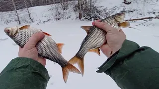 КОНСКАЯ ПЛОТВА 😛ГВОЗДИК кубик⚡МОРКОВКА ❄