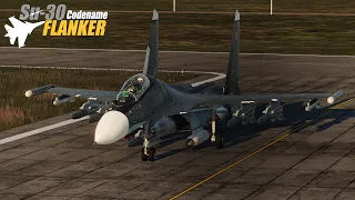 [DCS] Su-30 Cinematic 2