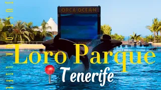 LORO PARQUE Best ZOO in The World Tenerife Canarias Island | Лоро-парк ЛУЧШИЙ зоопарк. Орка ШОУ.