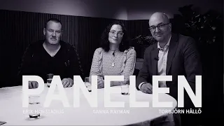 Panelen 2024 – Sanna Rayman: ”Ingen regering är förmögen att göra allt vad som krävs”