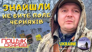 Знайшли не бите поле Черняхів! Знахідок повний капот. Коп з Xp deus 2