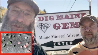 Dig Maine Gems Mineral Adventures