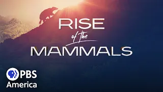 Rise of the Mammals FULL SPECIAL | PBS America