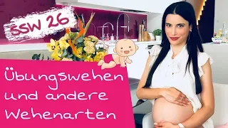 26. SSW | Ab wann kommen Wehen in der Schwangerschaft und wie fühlen sich Wehen an?