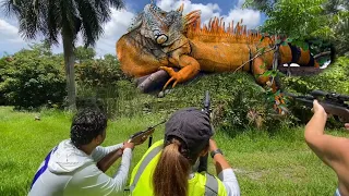 Hunting Giant iguanas With Air Rifles on Private Ranch and Swimming for the catch!!