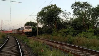 82654 - Jaipur Yeshwantpur Suvidha Express