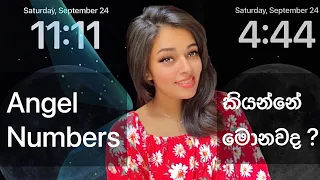 ඒන්ජල් නම්බර්ස් ඔබටත් නිරන්තරයෙන් පෙනෙනවාද ? එහෙනම් ඒ ගැන දැනගන්න ! #1111 #sinhala #srilanka #loa