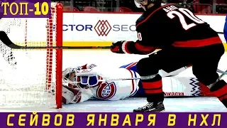 ТОП-10 СЕЙВОВ ЯНВАРЯ 2020 В НХЛ