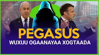 PEGASUS - Israaiil Ma Waxay uhormarisay Si ay isugu jaajuusan dawladaha