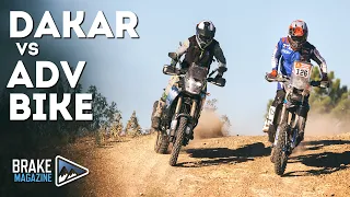 Can a Yamaha Tenere 700 be better than a Dakar Bike?