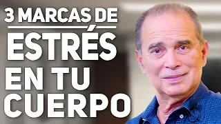 3 marcas del estrés en tu cuerpo en VIVO con Frank Suárez