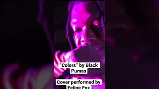 “Colors” by Black Pumas.        Cover performed by Feline Fox.