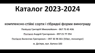 Каталог 2023 2024