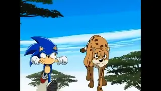 Sonic X Comparison: Sonic VS Cheetah; Who's The Fastest? (Japanese VS English)