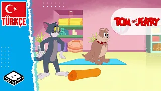 TOM VE JERRY ŞOV | Tom ve Jerry Yoga Dersinde | Boomerang TV Türkiye