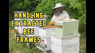 How to Handle Extracted Bee Hive Frames