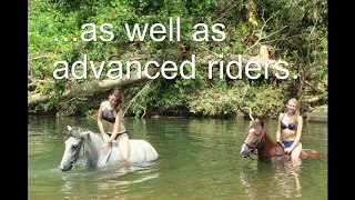 Gabi's Ranch - Horseback Riding in Punta Cana