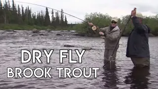 Huge Brook Trout on Dry Flies