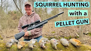 SQUIRREL HUNTING with a pellet gun/slo-mo scope-cam pest control