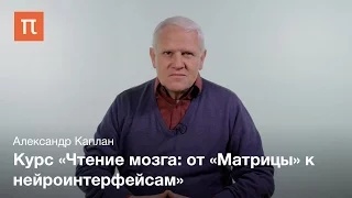 Александр Каплан о курсе «Чтение мозга: от «Матрицы» к нейроинтерфейсам»