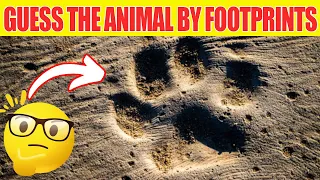 Guess the Animal by Footprints