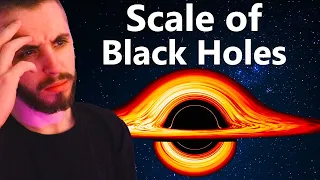 The Unbelievable Scale of Black Holes Visualized - RealLifeLore Reaction