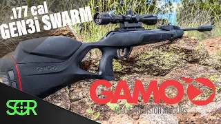 This made me LOVE .177 cal again! - Gamo Swarm Magnum GEN3i REVIEW