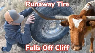 Trailer Tire Gone Wrong | Weaning Calves: Vlog #12