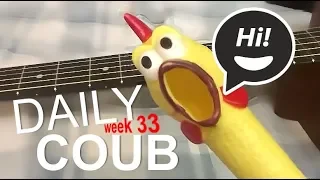 Daily Hot Coubs - week 33 (2018) Hi Guys