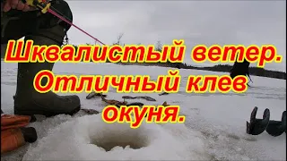 Шквалистый ветер. Отличный клев окуня.