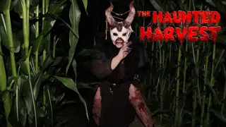 The SCARIEST haunt? We walked through dark cornfields at The Haunted Harvest! #hauntedharvest
