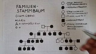 Familienstammbäume analysieren: Der Apfel fällt nicht weit vom Stamm | lessonsathome