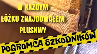 Live ze zlecenia - pluskwy - pogromca szkodnikow - odpluskwianie