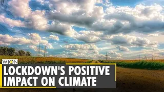 COVID-19 lockdown's positive impact on environment | World News | WION News