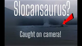 Lake Monster - Slocansaurus caught on camera! (real)