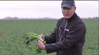 Šiltas šventinis laikotarpis ir atvėsusi balandžio pradžia.