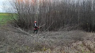 Husqvarna | Brushcutter 545RXT With a Saw Blade in The Brushwoods. Part 1