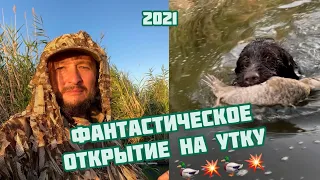 Фантастическое открытие охоты на утку 🦆🦆💥💥!! Снято shotkam 🔥🔥